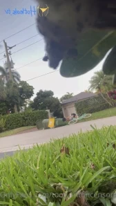 Tooturntuncensored - like this if i should move my duck