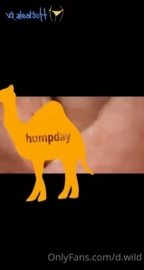 D.wild - Imagine me doing this in front of you How fast would you cum 