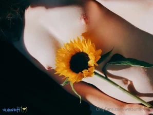 Wetsunflowers - It s been a while since you got to watch me