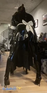 Latexswitch33 - When you want to spice up your work from home setup