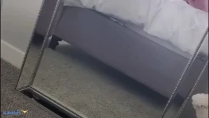 Alinity - Just wondering what you re thinking about