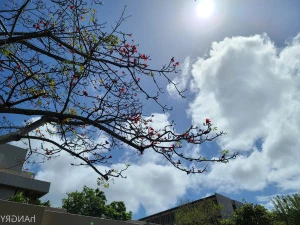 Hangry - Getting ready for something fresh cut pineapple for days