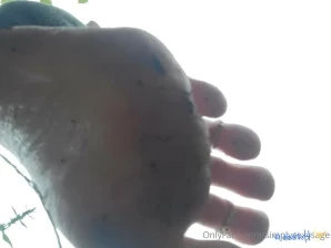 Simplysexysage - Just a little catch up What good pup is sending for
