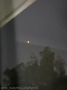 Pzz_drey - Want some oranges Or some of me