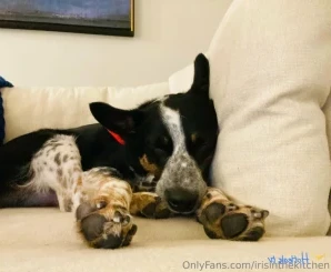 Irisinthekitchen - If you haven t seen my Sprinkles Cupcake video from