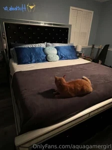 Camichanowo - Read my shirt out loud and i ll do it for you daddy part 2