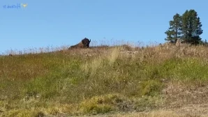 Misslacylennon - August Subscription Perk Fucking Your Sisters Best part 25