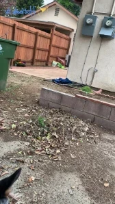 Misslacylennon - SUBSCRIPTION GOODIE I heard you wanted longer feed part 25 