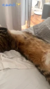 Ernaburn - reviewing the new footage with dimestoreboytoy