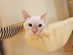 Mikaylarainesfans - New photo gallery for you all The more you tip the