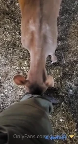 Draconblue - Ride em cowboy