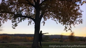 Fairyoftheforest - GM part 2