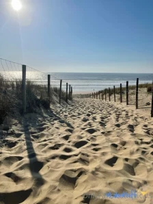 Vicats - dance of love