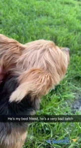 Cindymoon7 - You ve got a fetish for my love Video clip of me in a see part 91