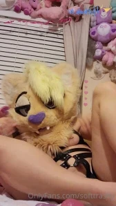 Softtrashy - Finally got around to doing some fursuit pics Since I got