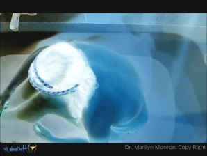 Dr.marilyn.monroe - Dr Marilyn Monroe Moving No 1 part 1