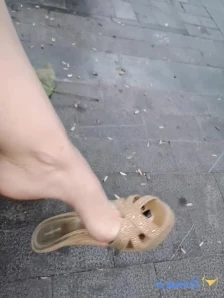 Feetvampire - Zing 