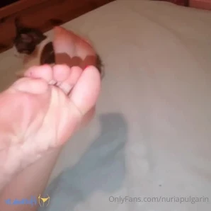 Feetvampire - Zing