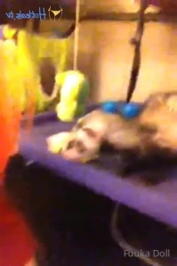 Fuukadoll - 04 45 One thing lead to another in front of the window up