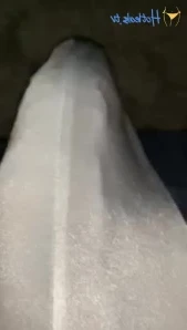 Brogrowing - suck your bull daddy