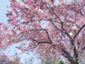 Darlingdream - How about some wholesome pics today I out this outfit