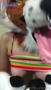 Fox_anatomy - Put your maw to good use and please my cock