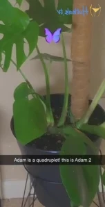 Birchbeckett - Miss seeing me naked No worries I do it on another site part 4