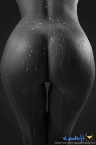 Coyotecute - Fammi un regalo per il mio compleanno in base al regalo part 3