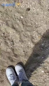 Evilcouple - Guys what are you doing Im posting every day Make sure to