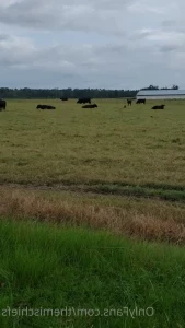 Themischiefs - Whats up fanfam Happy Friday night The hubby and I are