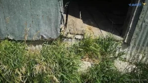 Bellatrix - Some things are meant to be shared and when I travel