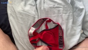 Maxarionxxx - How much is the pony in the window