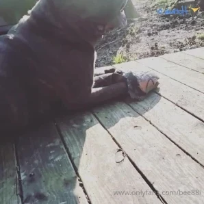 Bee88i - If anyone likes to hunt arrowheads and wanted some part 11