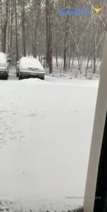 Alauragrey - I got home too last last night so I will go live here